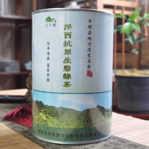 三丫湖®丰顺县洋西坑原生态高山绿茶500