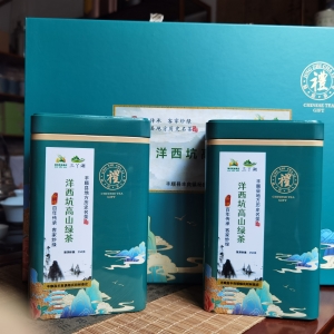 三丫湖®丰顺县洋西坑高山绿茶500克20